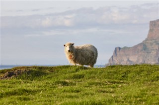 Faroe