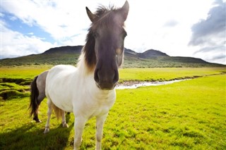 Faroe