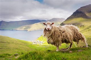 Faroe