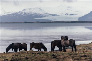 Faroe