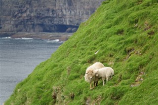 Faroe