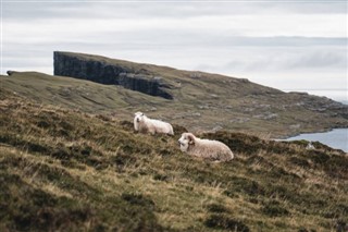 Faroe