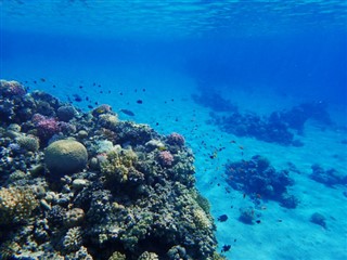 Fiji