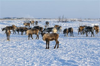 Фінляндія