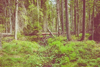 Финска