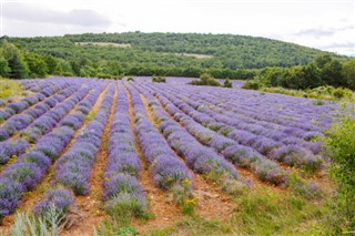 Frankreich