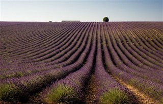 Frankreich