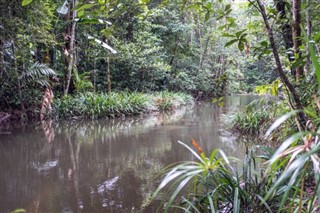 Guiana