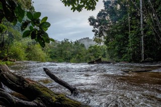 Guiana