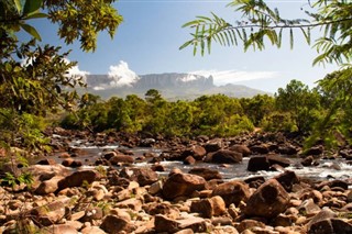 Guayana