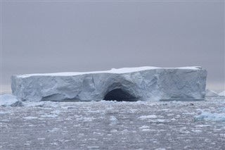 Френски