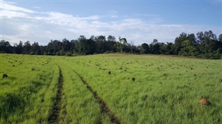 গাবোনবাদ্যযন্ত্র