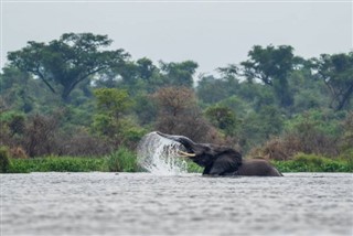 Gabón