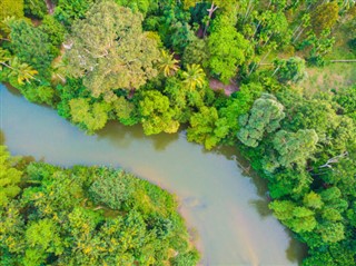 গাবোনবাদ্যযন্ত্র