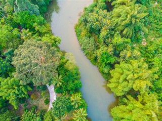 গাবোনবাদ্যযন্ত্র