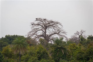 Gambiya