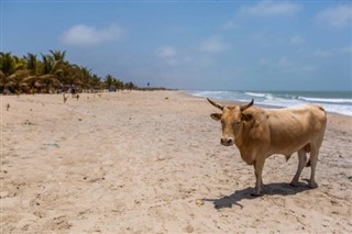 Gambia