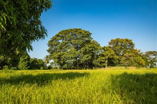 গাম্বিয়াদেশ