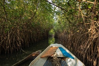 গাম্বিয়াদেশ