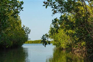 গাম্বিয়াদেশ