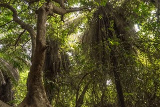 Gambia