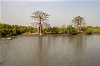 গাম্বিয়াদেশ