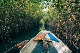 Gambia