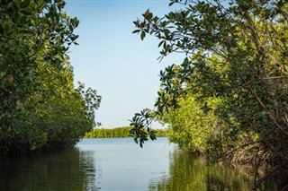 গাম্বিয়াদেশ