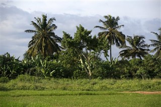 गाम्बिया