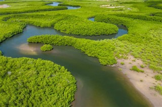 গাম্বিয়াদেশ