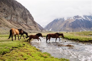 जॉर्जिया