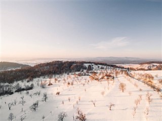 Německo