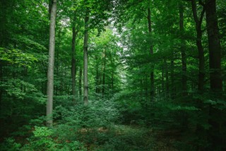 Alemanya