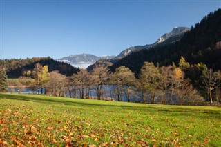 Jerman