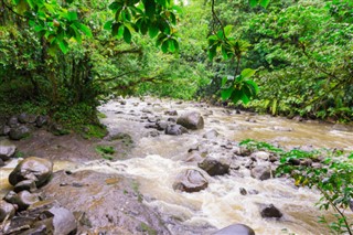 গুয়াডেলোপ