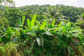 Guadeloupe