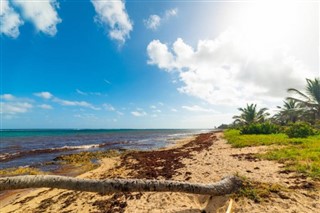 Guadeloupe