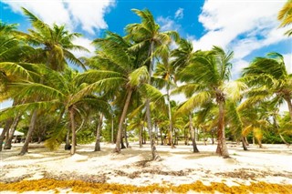 Guadelupa