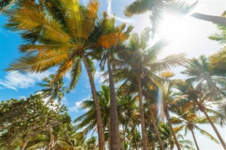 Guadelupa