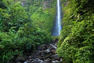 গুয়াডেলোপ