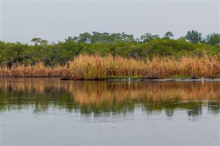 گواتیمالا