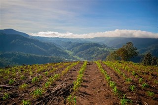 ग्वाटेमाला