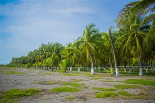 குவாத்தமாலா