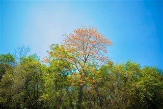 ग्वाटेमाला