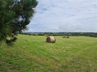 Guernsey-sziget