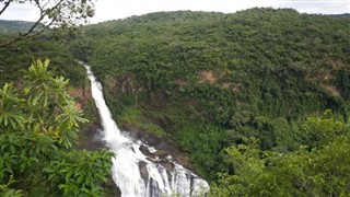 Guinea