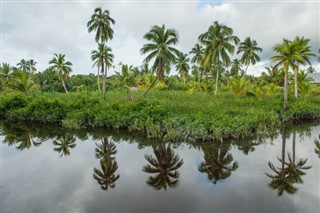 Guinea