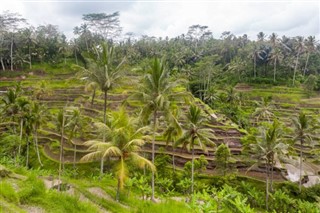 Guinée