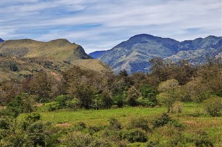 Guinea