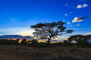 Gvineja-Bissau